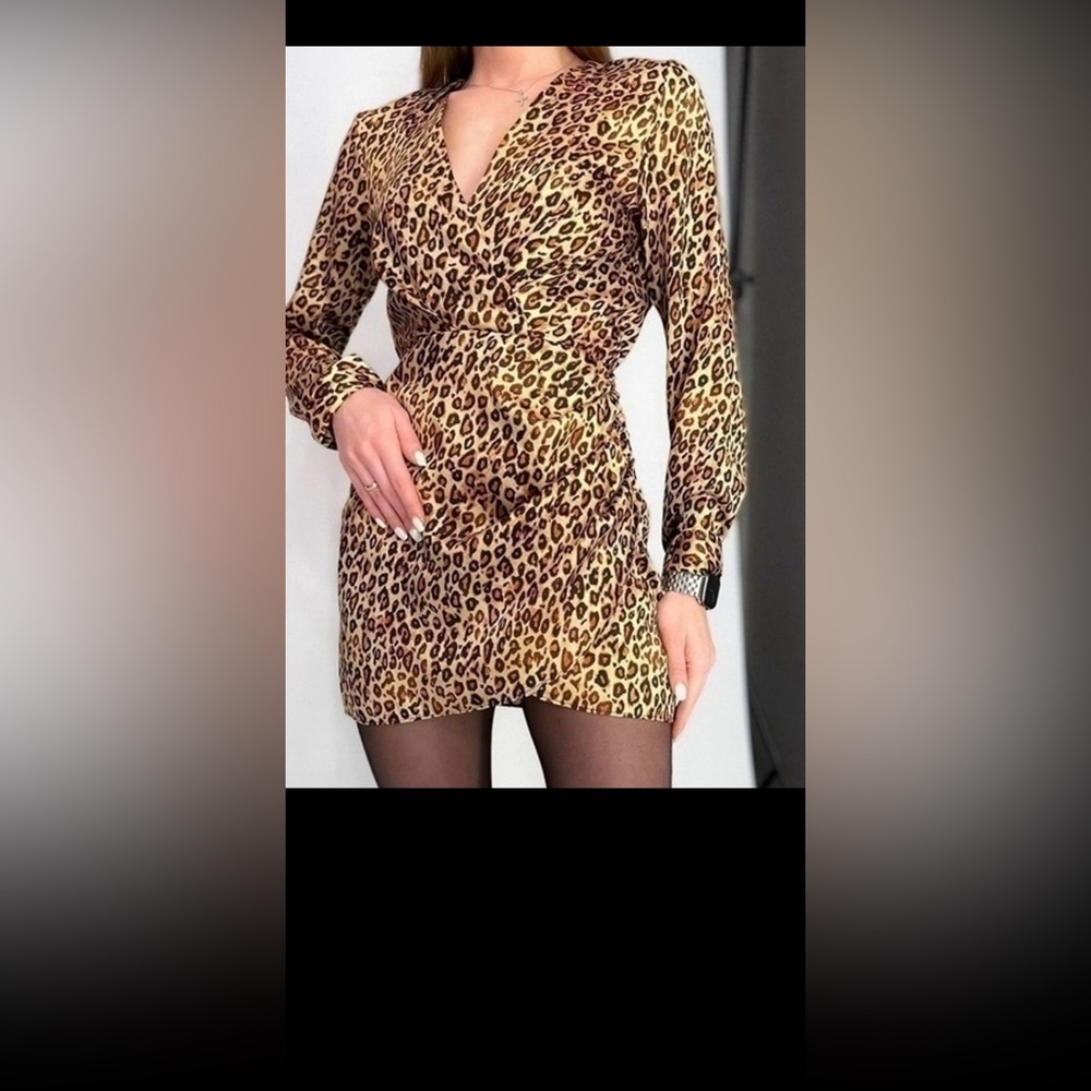 Zara Animal Print Long Sleeve Dress